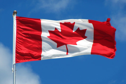 Tips on how to Start a Canadian Home Care Company